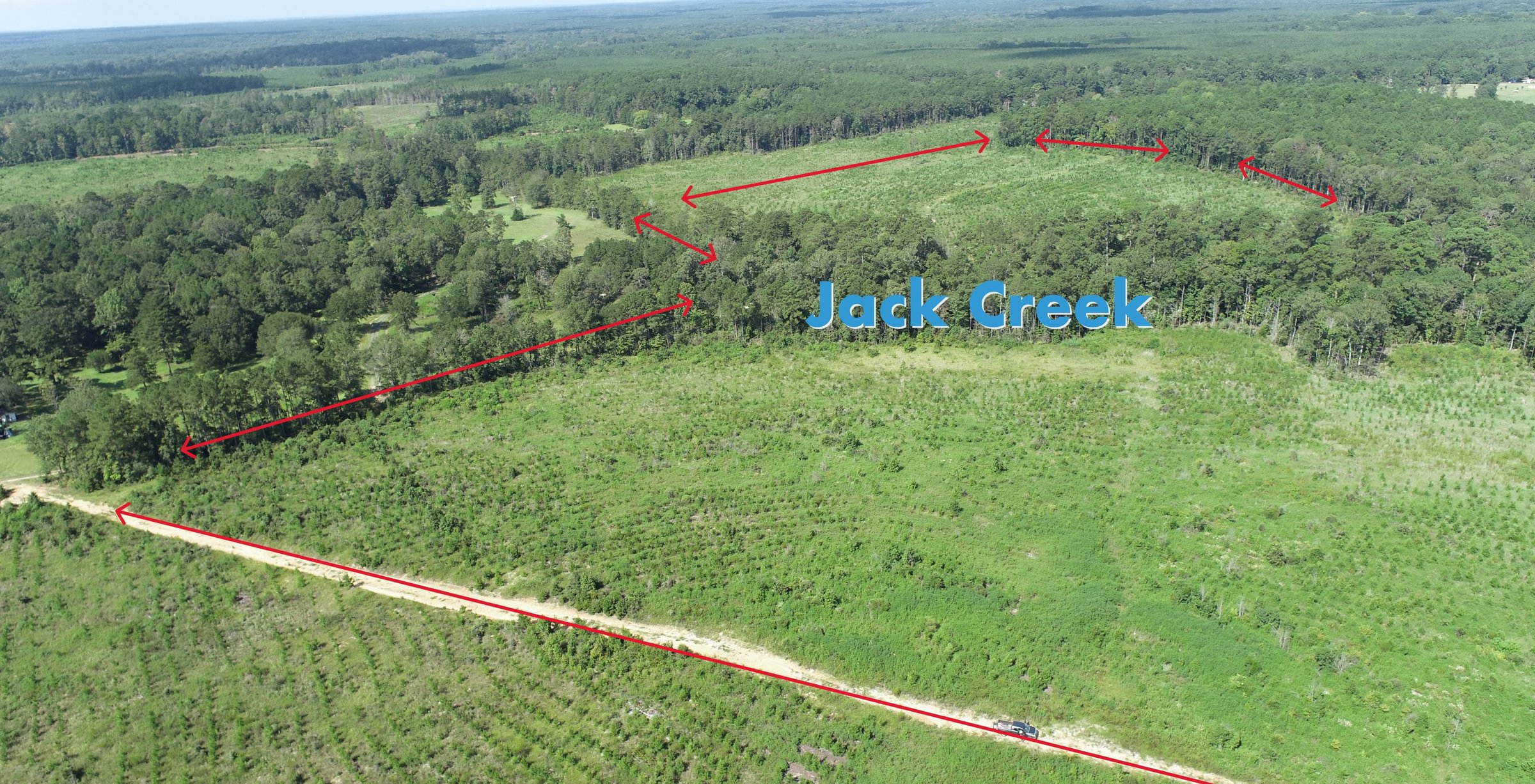 Photo 3 of Sturgis Mill T-17, 63 acres, Sabine County, Texas