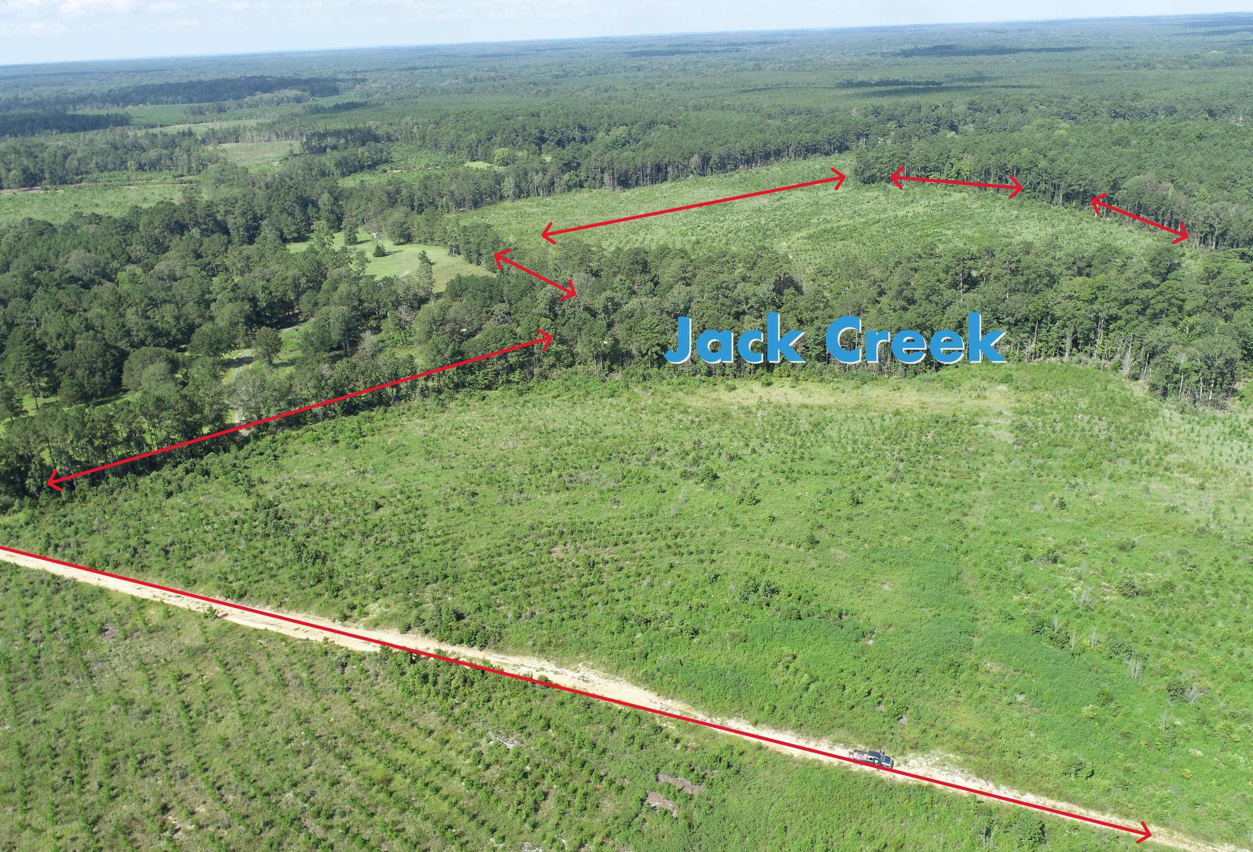 Photo 3 of Sturgis Mill T-17, 63 acres, Sabine County, Texas