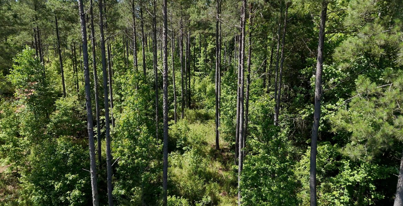 251 Horton Tract Photo 35