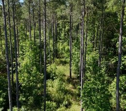 251 Horton Tract Photo 35