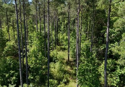 251 Horton Tract Photo 35