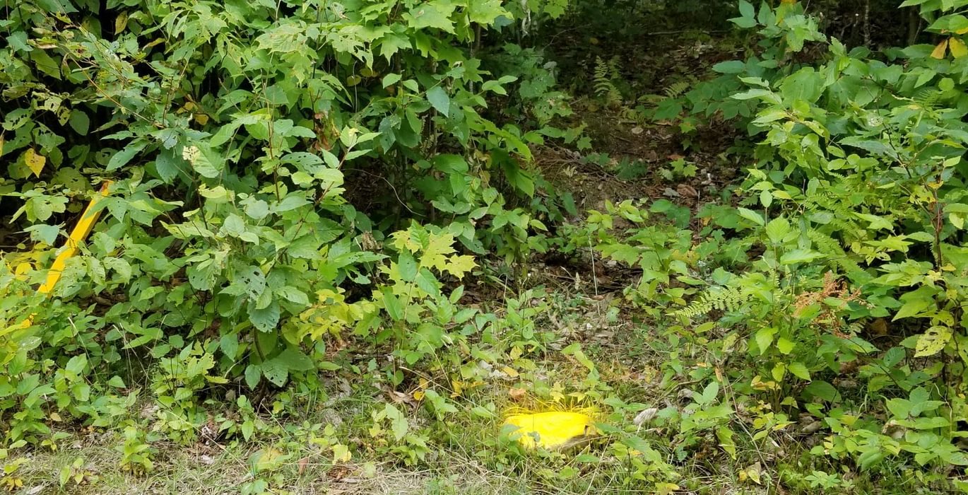 251 Southwest Prop corner yellow rock along Beaver Lane