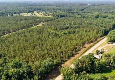 253 Longleaf Mecca Photo 11
