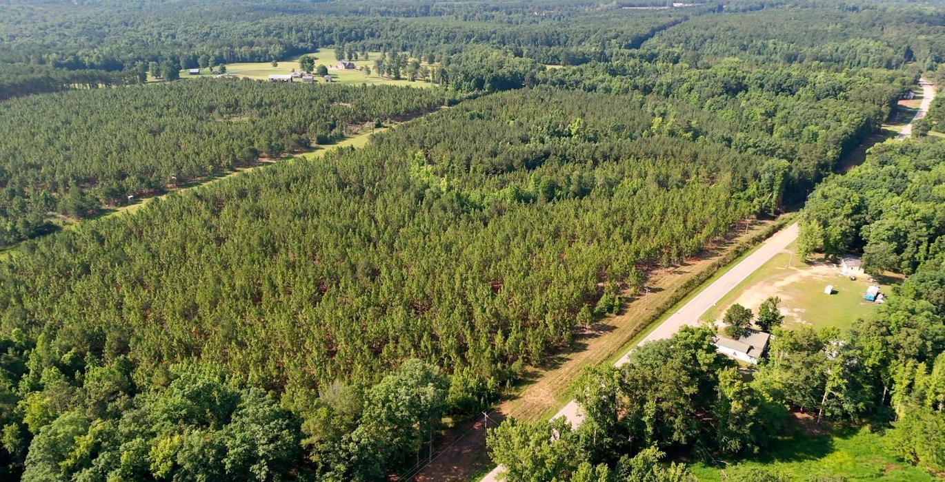 253 Longleaf Mecca Photo 11