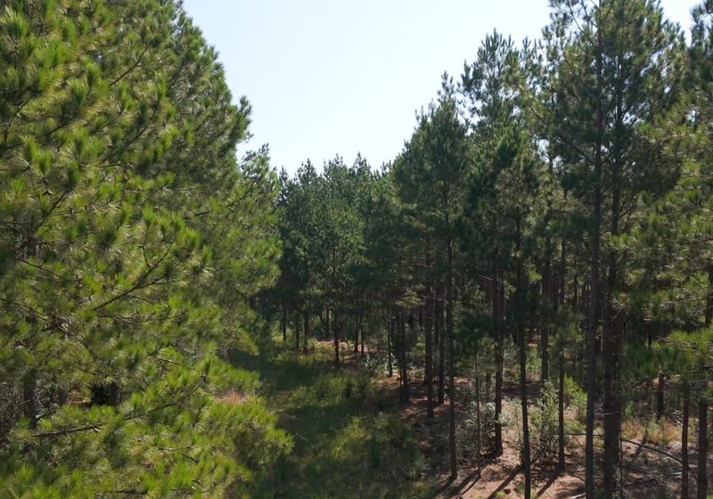 255 Cabin Creek Photo 11