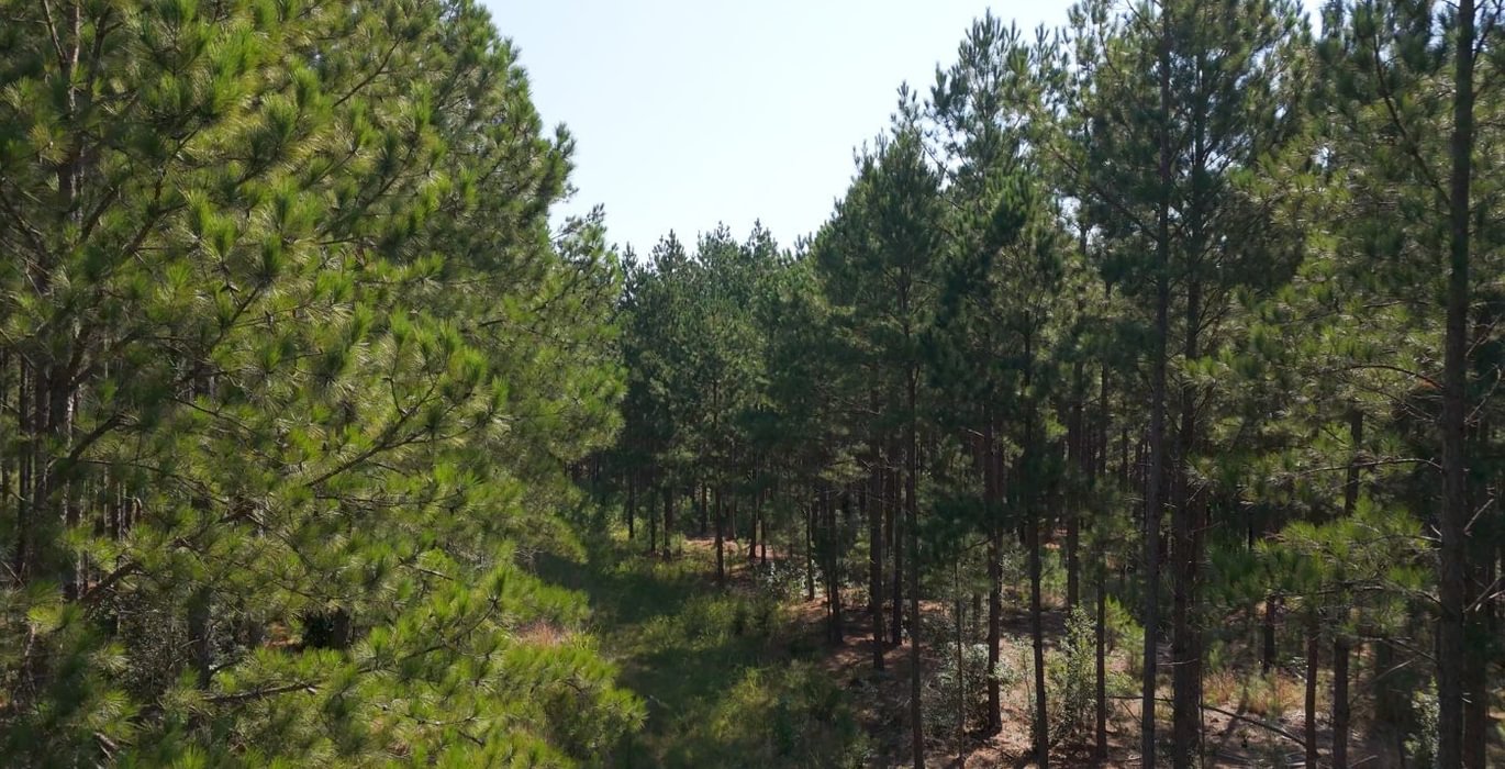 255 Cabin Creek Photo 11