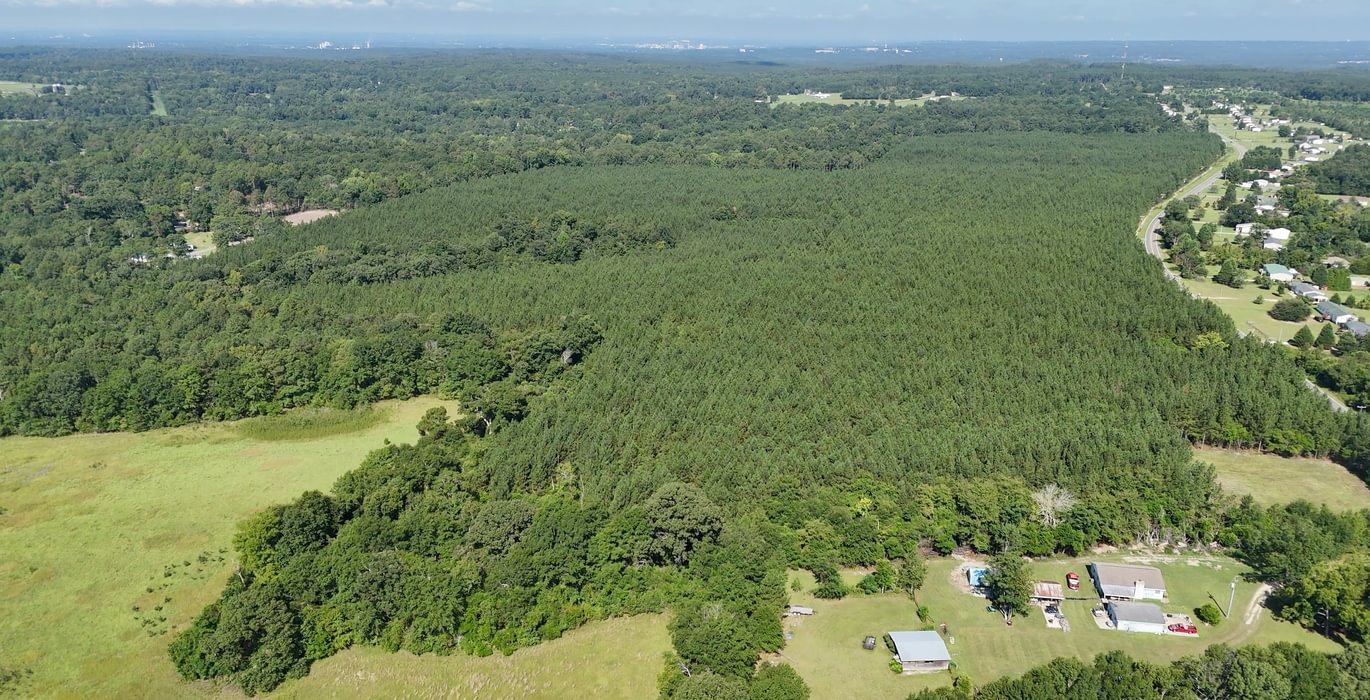 255 AFM Herndon Dairy Tract Photo 8