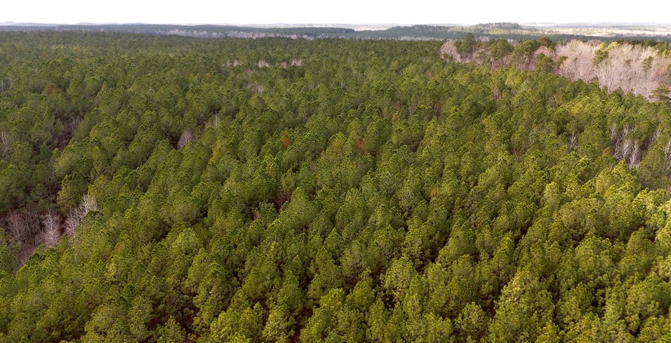 255 Pleasant Grove Road 17