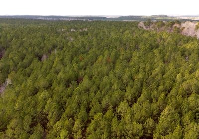 255 Pleasant Grove Road 17