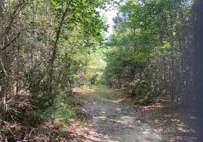 255 gum springs 25