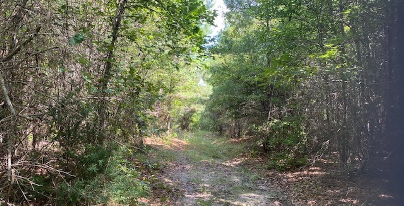 255 gum springs 25
