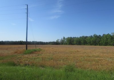 258 IMG 0590