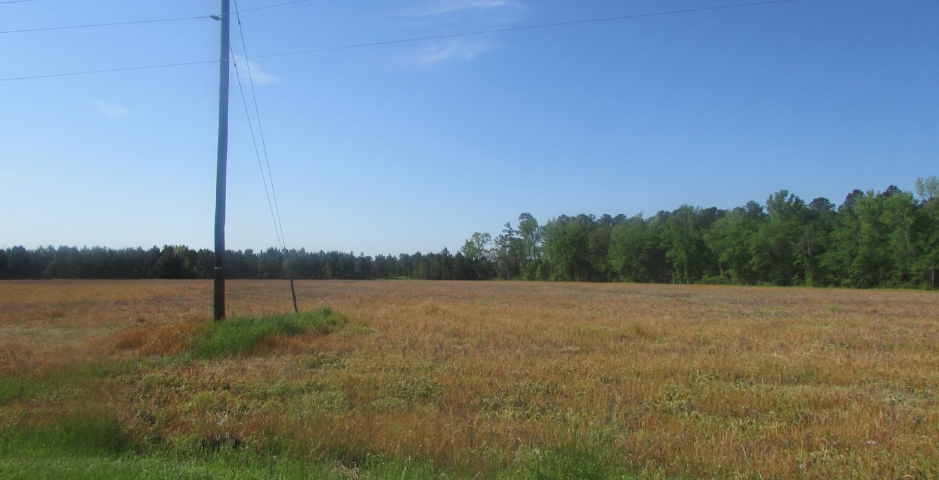 258 IMG 0590