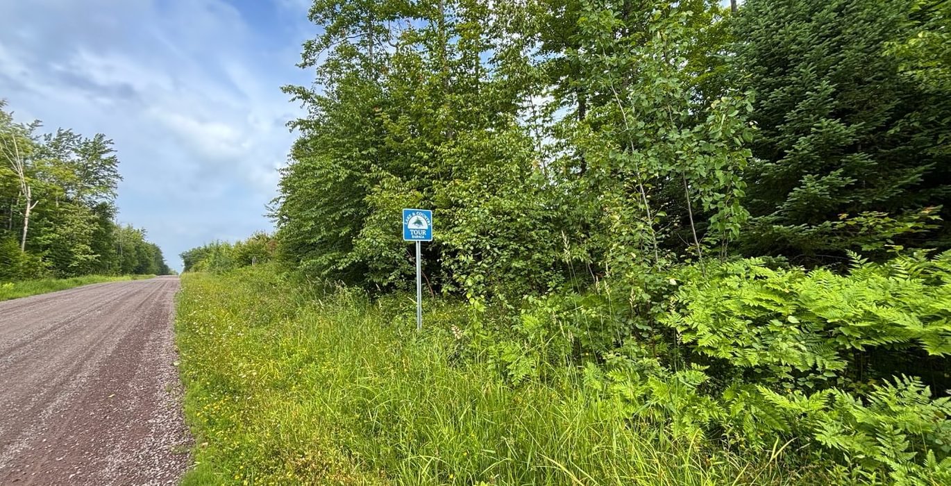258 beartown 17