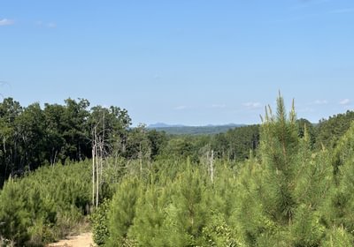 25 IMG 5981