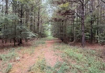 25 IMG 7884