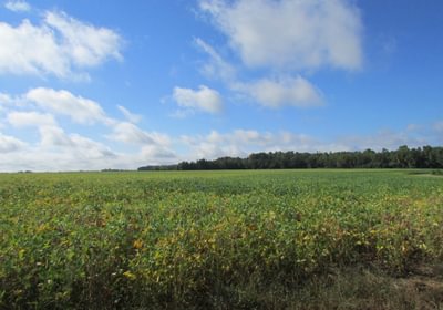 260 IMG 1191