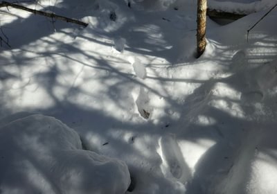 261 25 Tracks