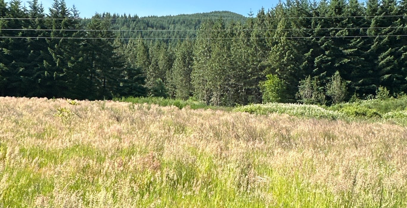 261 IMG 0713