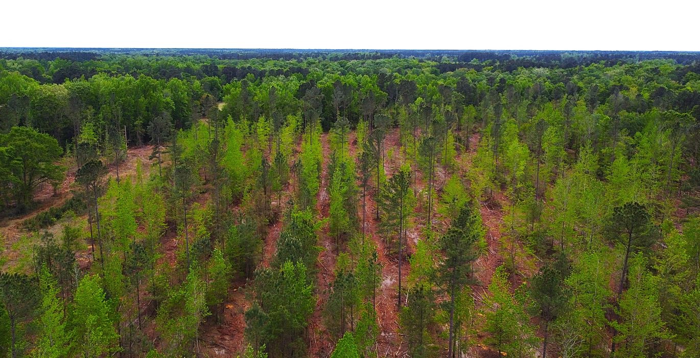 261 dji fly 20260407 145436 217 1775588176792 photo optimized