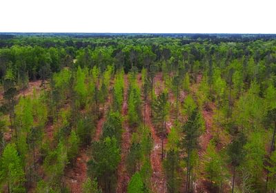 261 dji fly 20260407 145436 217 1775588176792 photo optimized