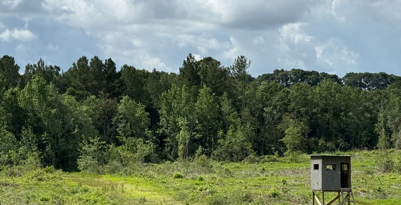 262 IMG 0311