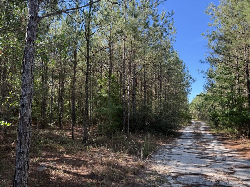 Photo 1 of Jenkins Creek, 328.73 acres, Jackson County, Florida