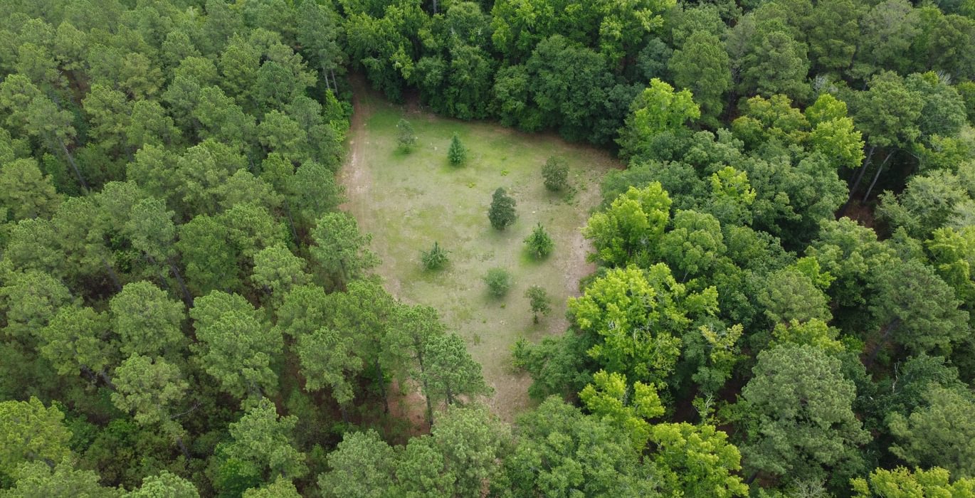 264 DJI 0425