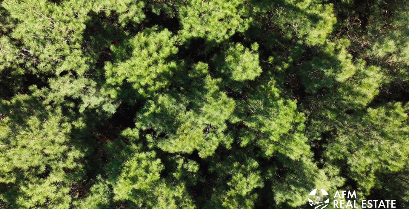 265 DJI 20250131145522 0030 V