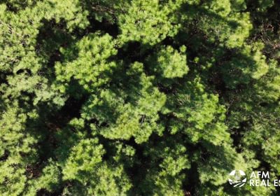 265 DJI 20250131145522 0030 V