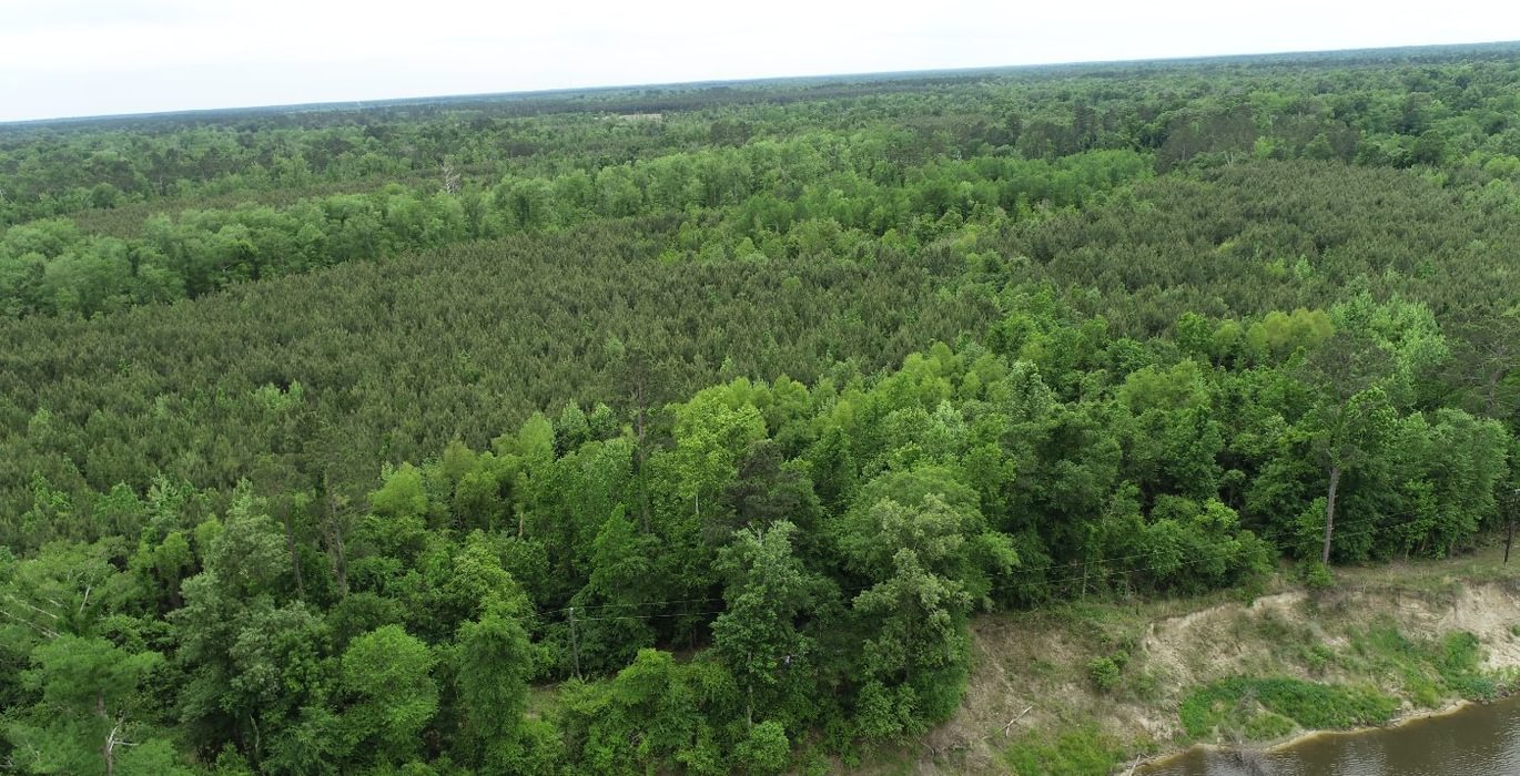 266 DJI 0308