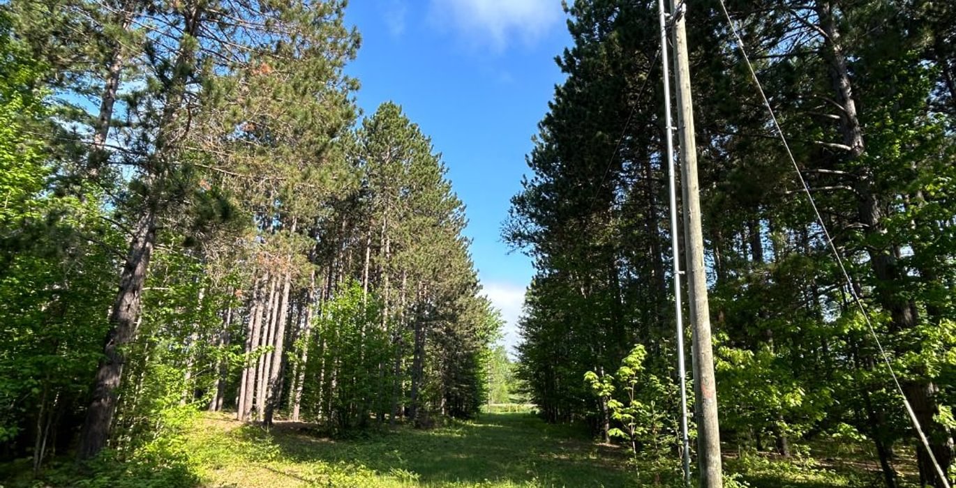 266 IMG 2731