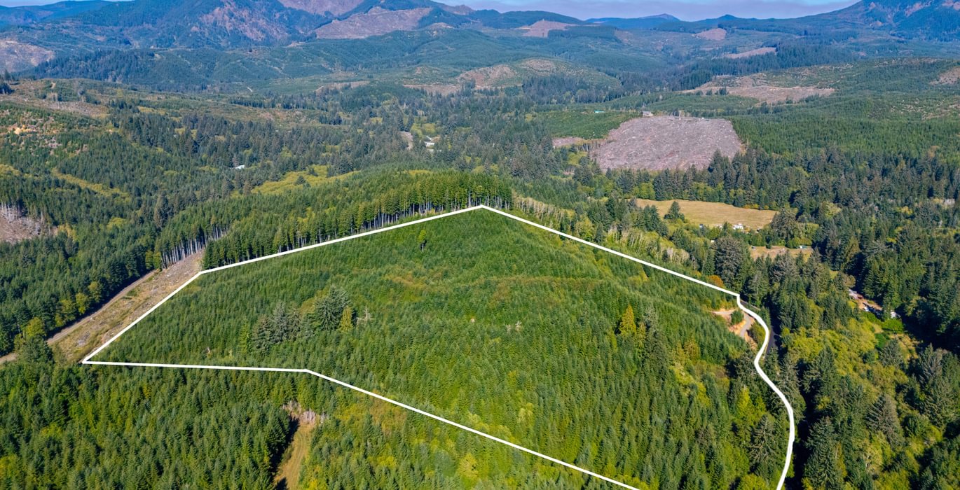 266 PROPERTY LINES
