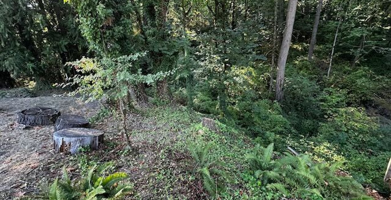 267 IMG 1474