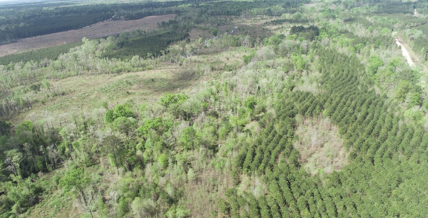 268 DJI 0276