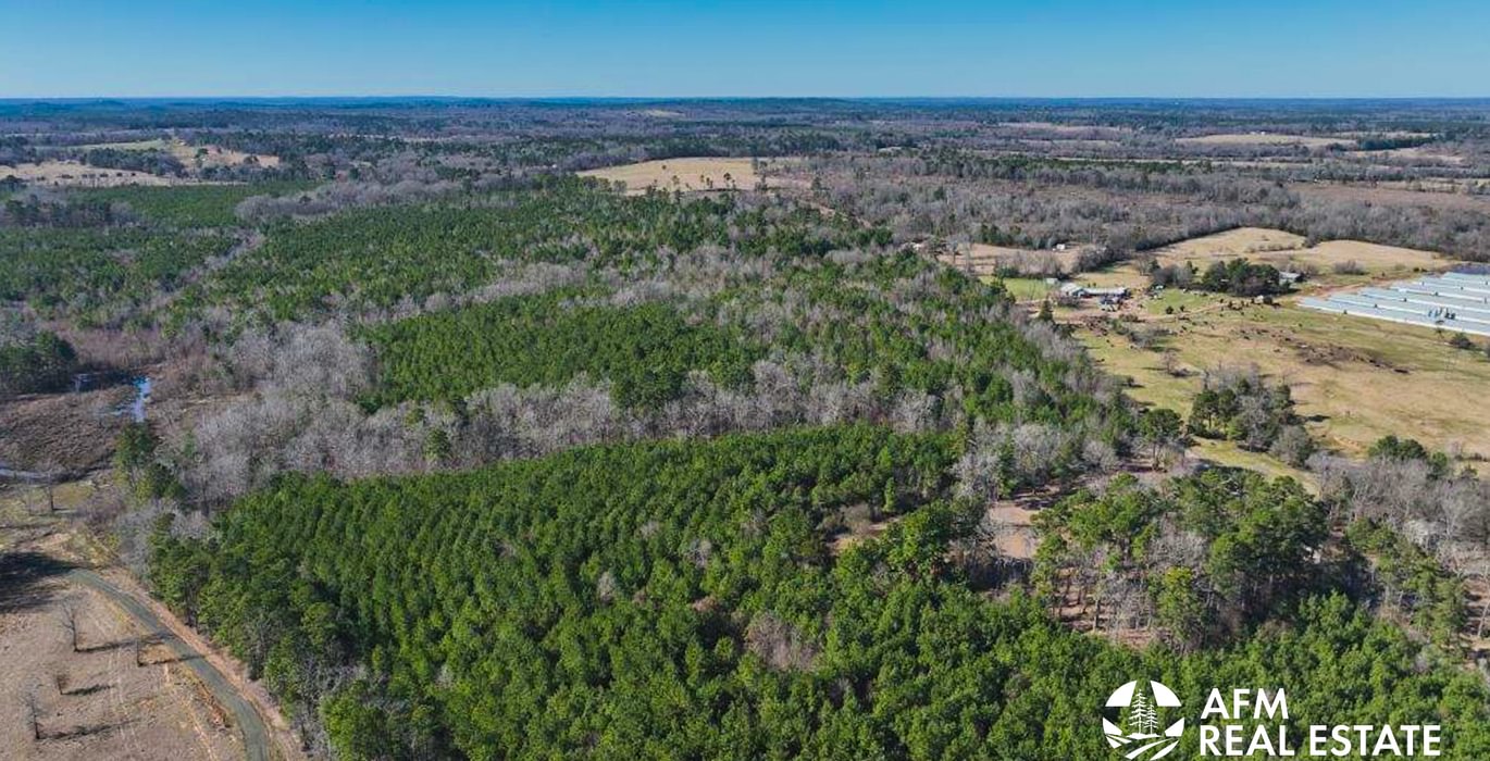 268 DJI 20250201142516 0006 V