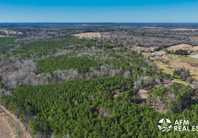 268 DJI 20250201142516 0006 V