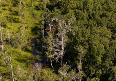 269 Beaverdam Creek Photo 22