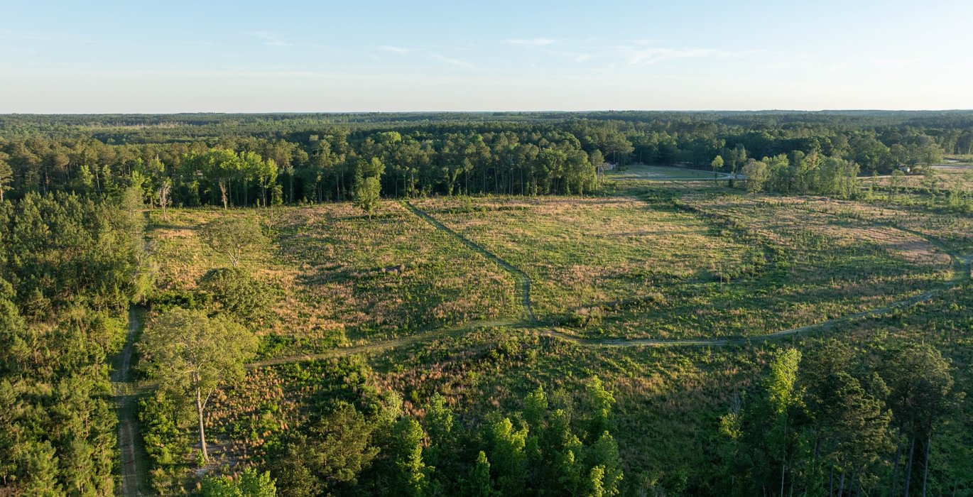 269 DJI 0891