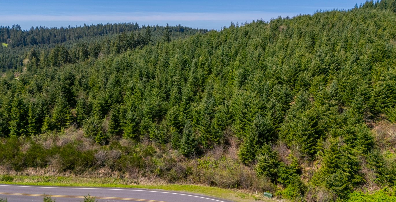 269 road 3