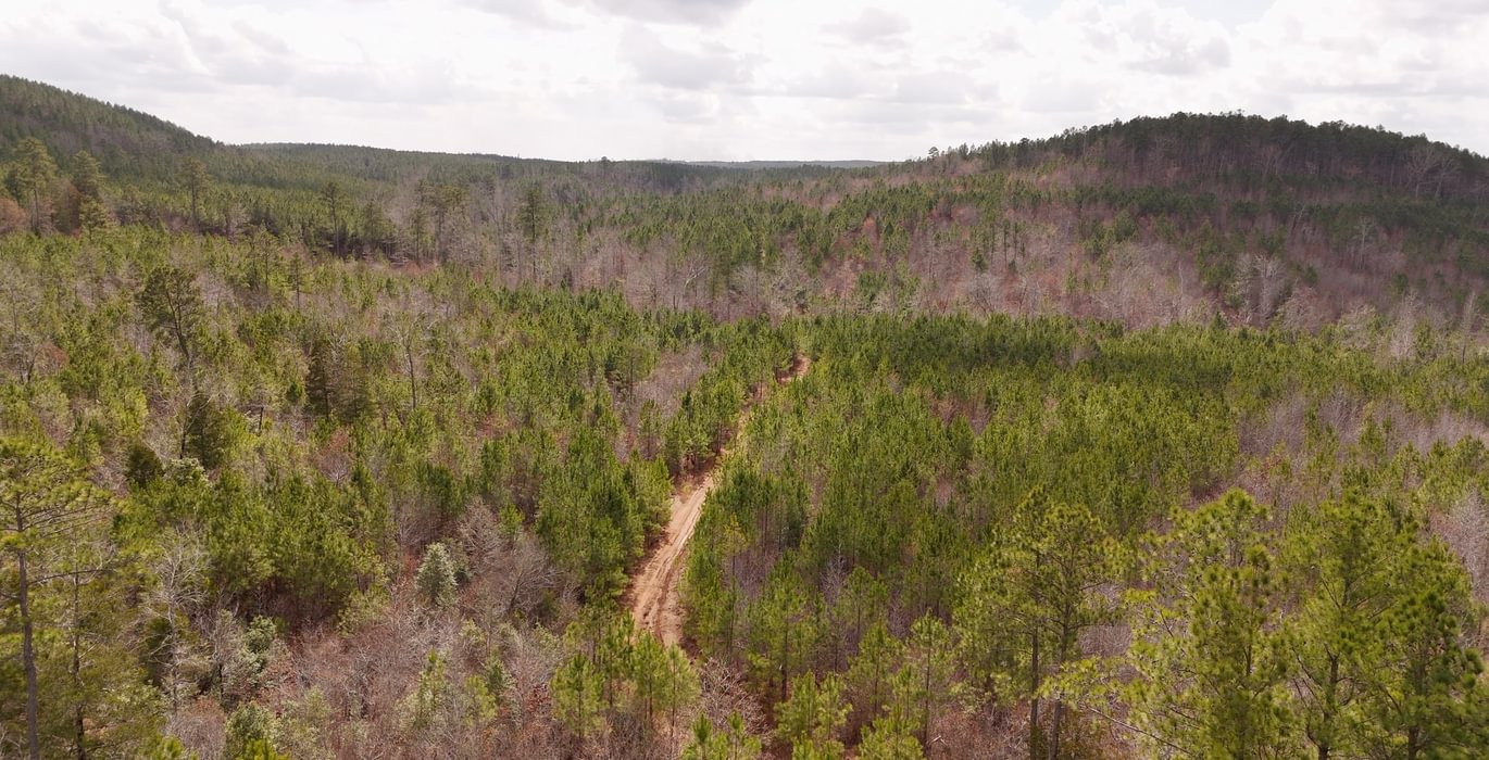 26 AFM Harrisville 68 Photo 1
