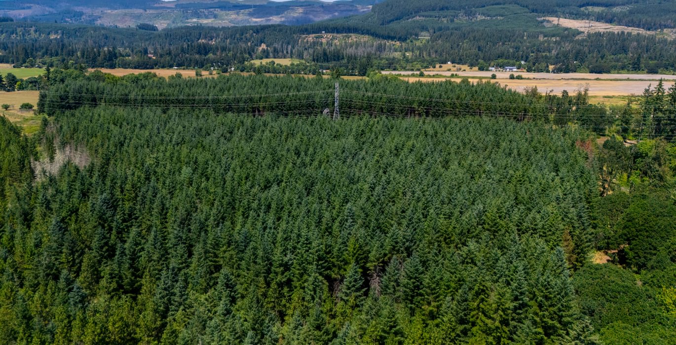 26 High Trees 1