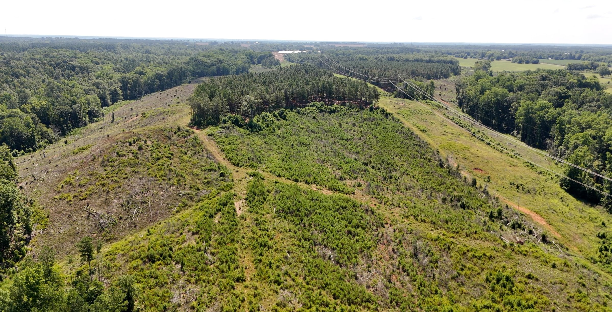 270 Horseshoe Road Photo 16