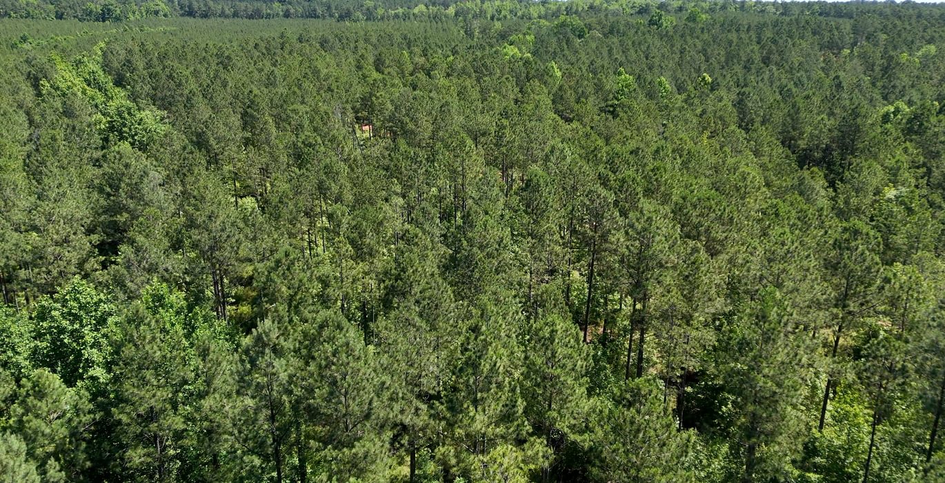 270 Horton Tract Photo 30