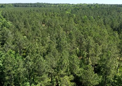 270 Horton Tract Photo 30