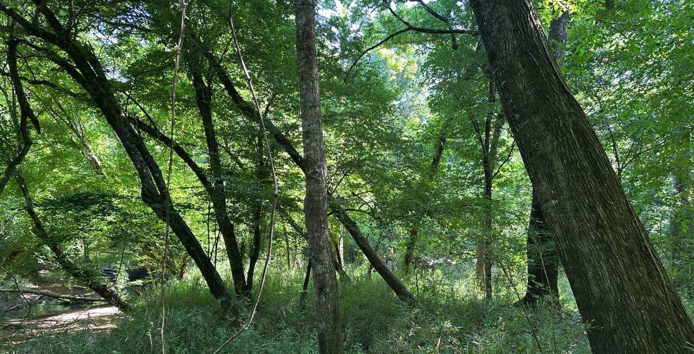 270 IMG 1240
