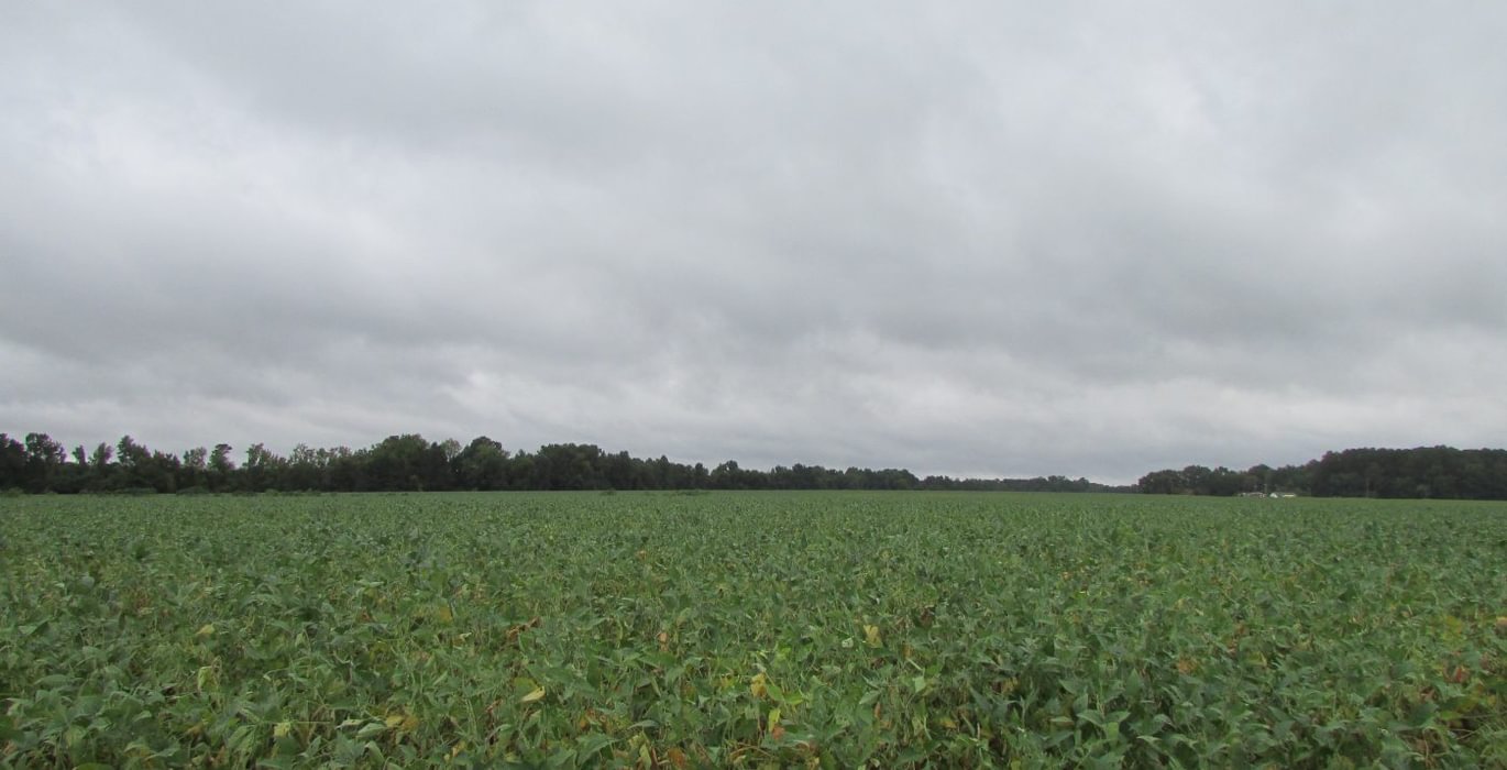 271 53 IMG 1180