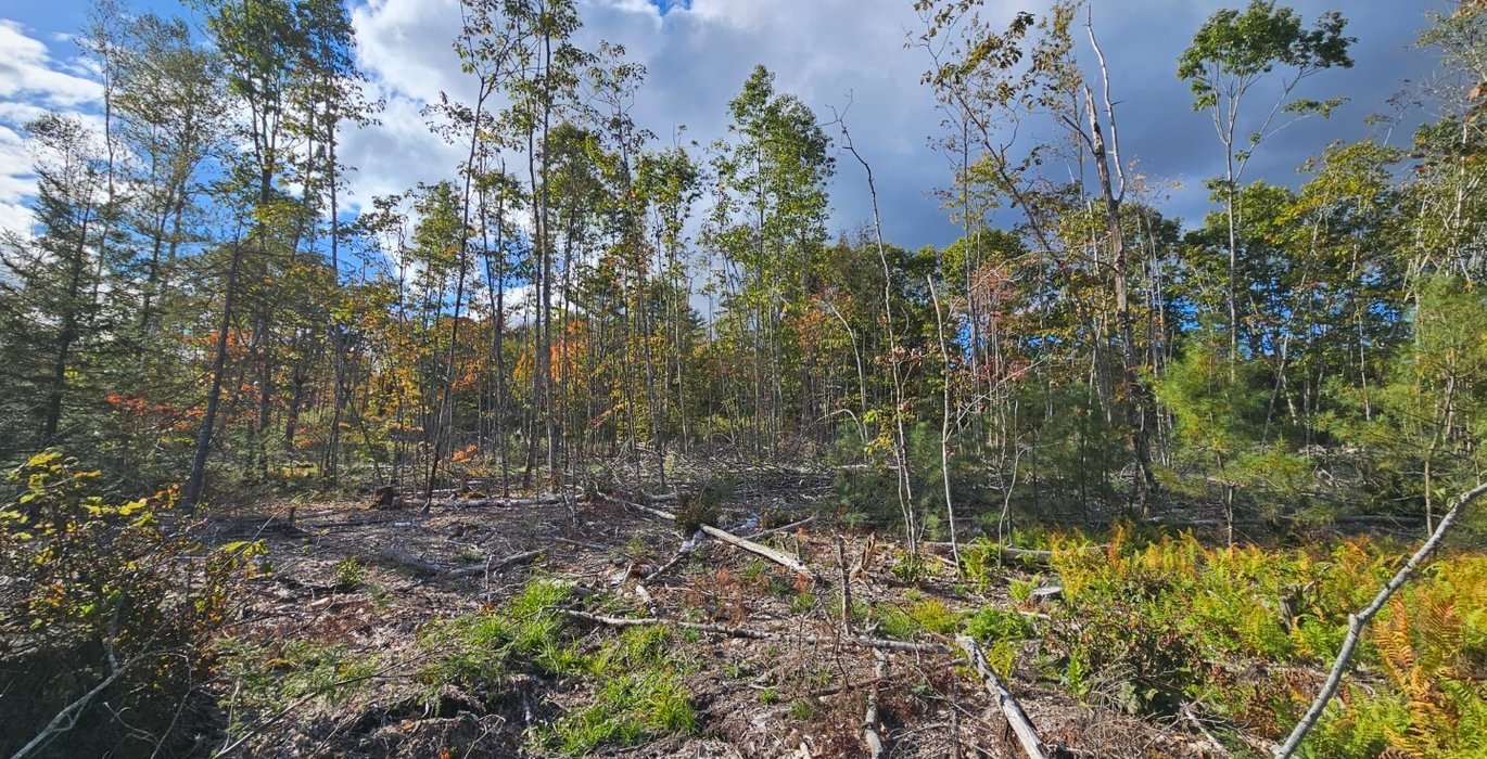 271 Lot 6