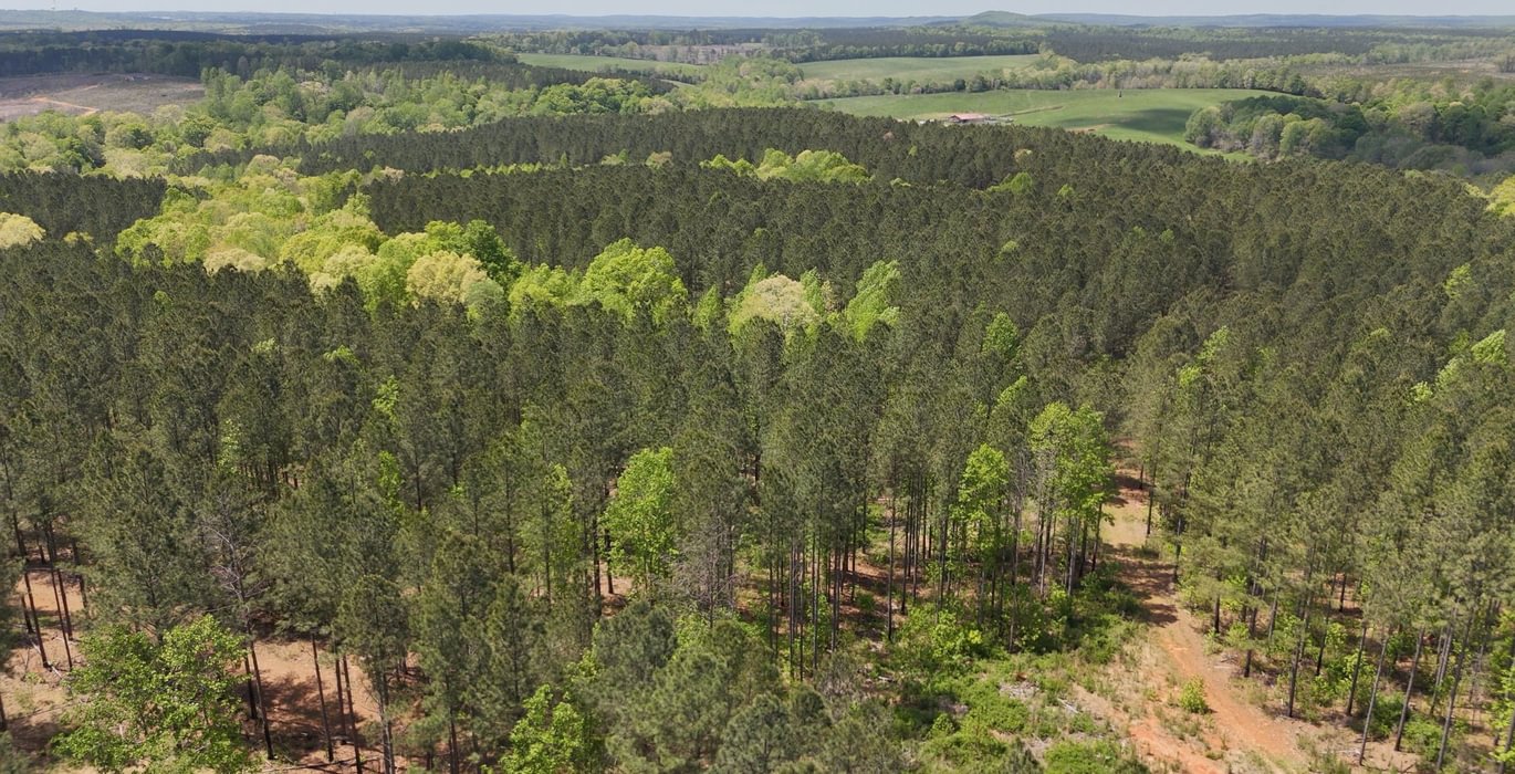 272 AFM Blue Q Ranch Photo 41