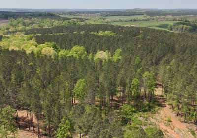 272 AFM Blue Q Ranch Photo 41